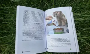 Szczeniak dostaje karmę z miarki do miski. Dowiedz się, ile karmy podawać szczeniakowi, by był zdrowy.
