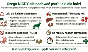Nie podawaj psu leków dla ludzi, np. paracetamolu, ibuprofenu. Zastanawiasz się, jaki lek przeciwbólowy dla psa jest bezpieczny? Tylko weterynarz!