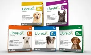 Gdzie kupić librela dla psa? Sprawdź najlepsze opcje i ceny