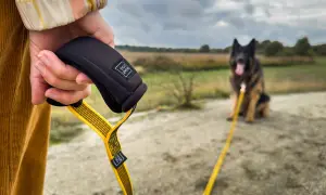 Ręka trzyma wygodną smycz treningową dla psa. W tle siedzi owczarek niemiecki.