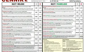Jaki bilet dla psa w autobusie? Sprawdź zasady i ceny w miastach
