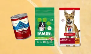 Puszka karmy Blue Buffalo, torba Iams i worek Hill's Science Diet. Twój pies zasługuje na najlepsze, jak Briantos.