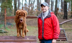 Jak tresować golden retrievera: skuteczne metody na posłusznego psa