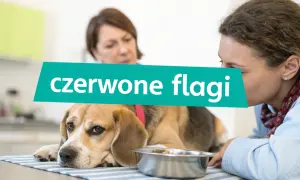 Smutny piesek obok pustej miski. Czy to "czerwone flagi" co na apetyt dla psa?