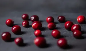 Garść błyszczących żurawin na ciemnym tle. Czy pies może jeść żurawinę? Tak, ale z umiarem.