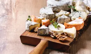 Czy pies może jeść ser? Dowiedz się, jakie sery są bezpieczne dla psa