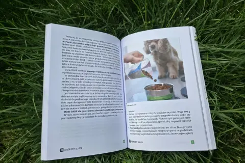 Szczeniak dostaje karmę z miarki do miski. Dowiedz się, ile karmy podawać szczeniakowi, by był zdrowy.