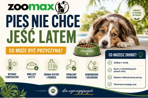 Pies nie chce jeść latem? Przyczyny: wysokie temperatury, mniejszy apetyt, zmiana rutyny, problemy trawienne, odwodnienie. Rozwiązania: zadbaj o wodę, karm chłodniej, wybierz lekkostrawną karmę.