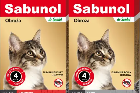 Obroża na pchły dla kota od kiedy - bezpieczne stosowanie dla kociąt