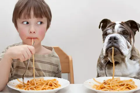 Chłopiec i buldog jedzą spaghetti. Czy pies może jeść makaron gotowany? Tak, ale z umiarem.