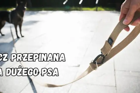 Wytrzymała smycz dla psa dużego, gotowa na wspólne przygody. Solidne wykonanie i wygodny uchwyt.