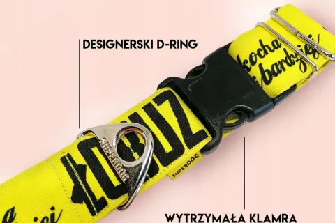Najlepsza obroża dla amstaffa – uniknij błędów przy wyborze