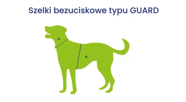 Szelki bezuciskowe typu GUARD dla psa. Linie A i B wskazują miejsca pomiaru obwodów.