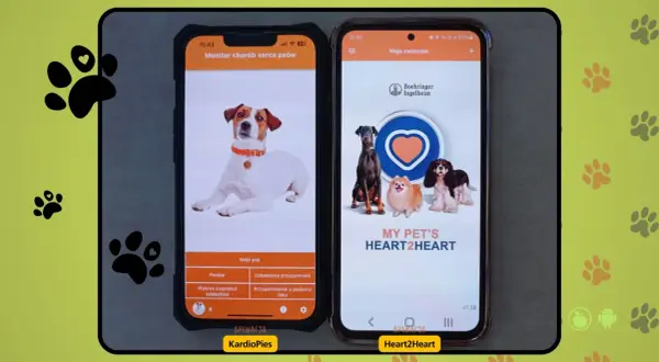 Dwa telefony z aplikacjami do monitorowania zdrowia psów. Na lewym ekranie pies rasy Jack Russell, na prawym kilka psów. Aplikacja KardioPies pozwala sprawdzić ile oddechów na minutę u psa.