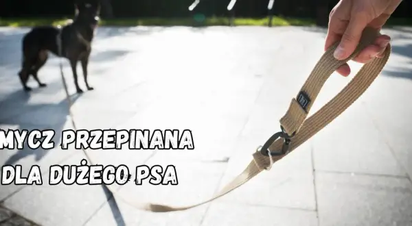 Wytrzymała smycz dla psa dużego, gotowa na wspólne przygody. Solidne wykonanie i wygodny uchwyt.