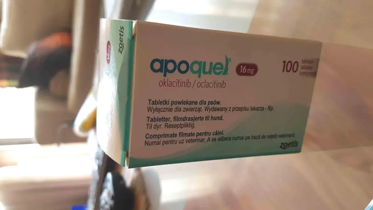 Opakowanie leku Apoquel 16 mg dla psów, zawierające 100 tabletek. Pomaga ulżyć zwierzętom w swędzeniu.