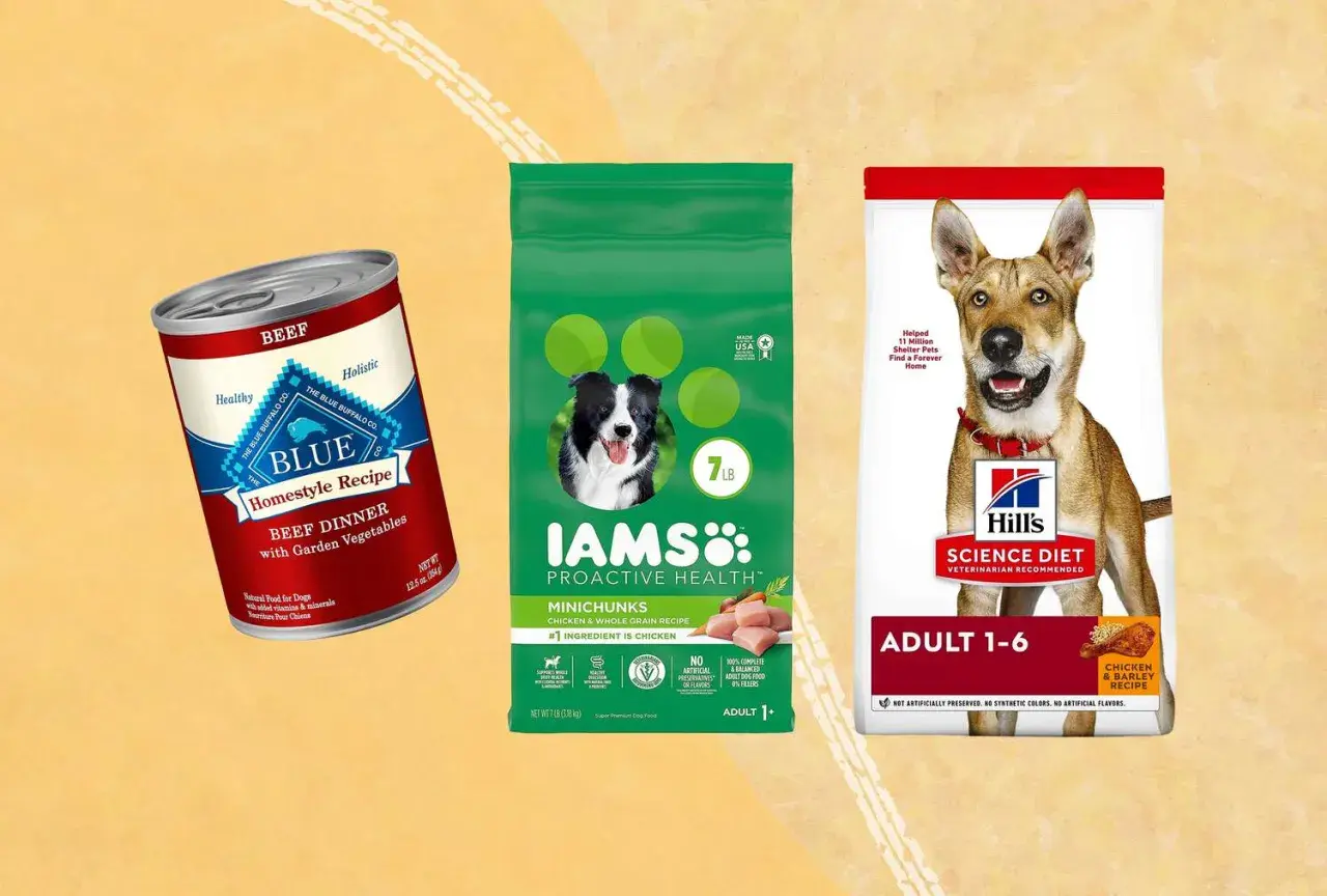 Puszka karmy Blue Buffalo, torba Iams i worek Hill's Science Diet. Twój pies zasługuje na najlepsze, jak Briantos.