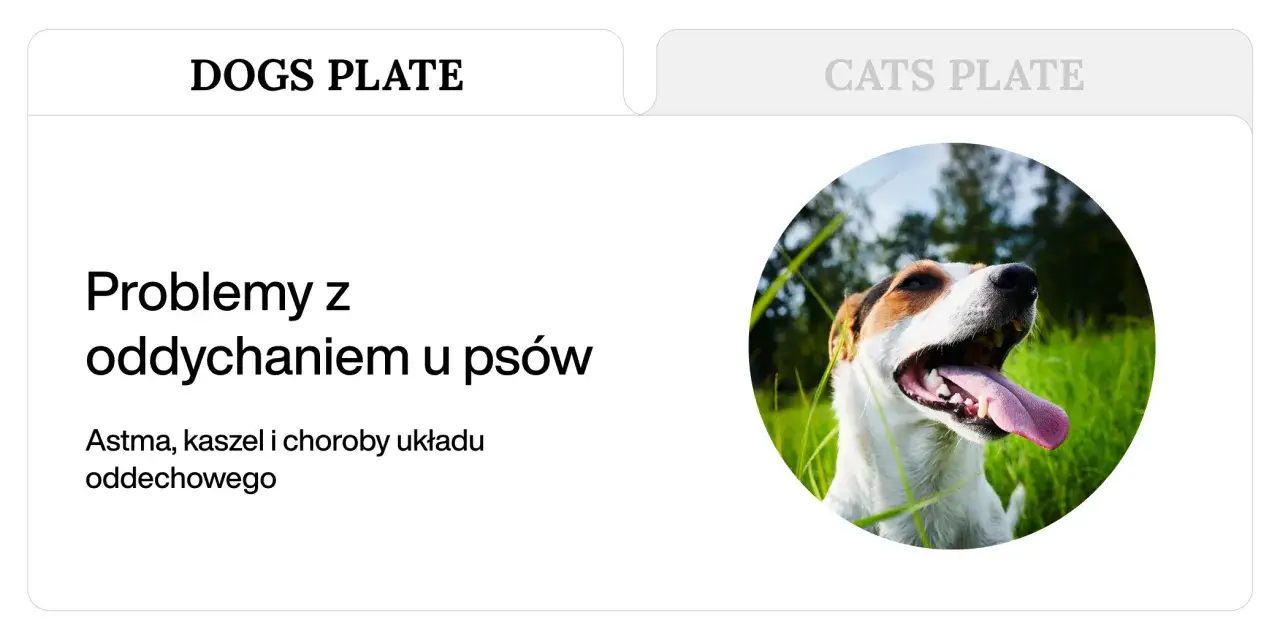Pies z otwartym pyskiem i wystawionym językiem. Tekst informuje o problemach z oddychaniem u psów, w tym o tym, ile oddechów na minutę u psa jest normą.