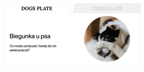 Smutny piesek z czarno-białą sierścią, który może cierpieć na biegunkę i śmierdzące gazy.