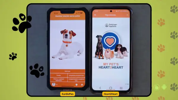 Dwa telefony z aplikacjami do monitorowania zdrowia psów. Na lewym ekranie pies rasy Jack Russell, na prawym kilka psów. Aplikacja KardioPies pozwala sprawdzić ile oddechów na minutę u psa.