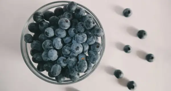 Misternie ułożone borówki w szklanej misce. Czy pies może jeść borówki? Tak, w małych ilościach są bezpieczne i zdrowe dla psów.
