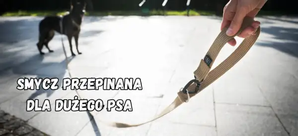 Wytrzymała smycz dla psa dużego, gotowa na wspólne przygody. Solidne wykonanie i wygodny uchwyt.