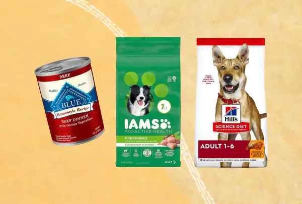 Puszka karmy Blue Buffalo, torba Iams i worek Hill's Science Diet. Twój pies zasługuje na najlepsze, jak Briantos.