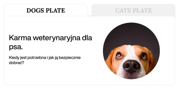 Uroczy piesek patrzy z zaciekawieniem na karmę weterynaryjną dla psa. Dowiedz się, kiedy jest potrzebna i jak ją bezpiecznie dobrać.
